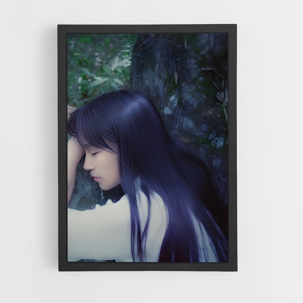 ap-li ziqi-9 cadre Noir