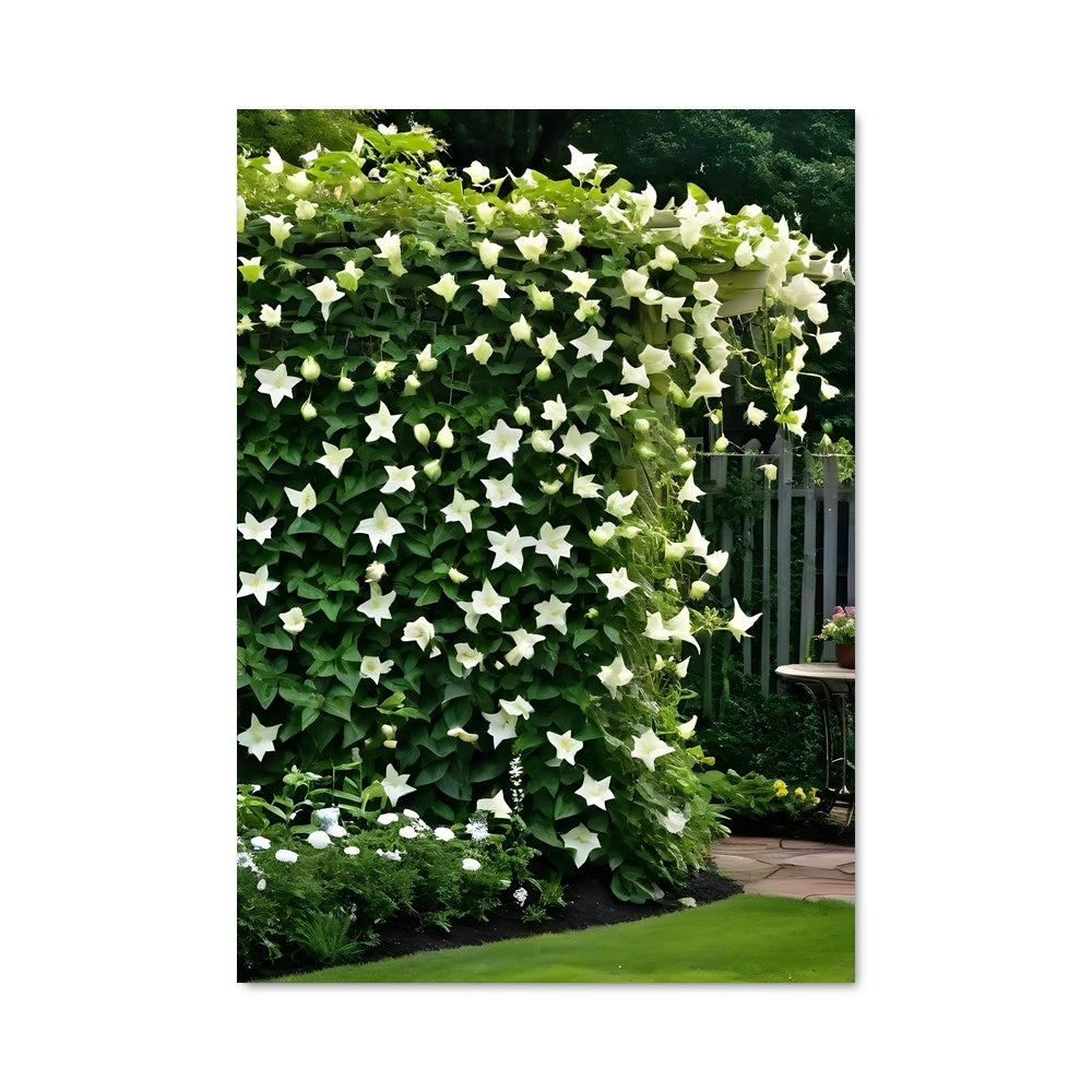 Poster Fleur de Climbing