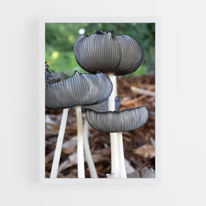 ap-liberty cap-2 cadre Blanc