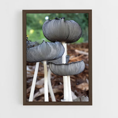 ap-liberty cap-2 cadre Bois foncé