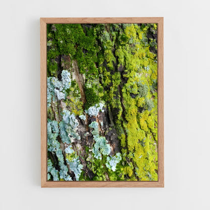 ap-lichen-1 cadre Bois clair