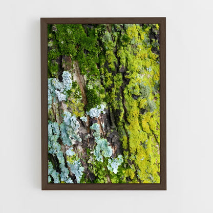 ap-lichen-1 cadre Bois foncé