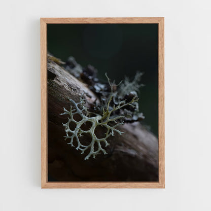 ap-lichen-4 cadre Bois clair