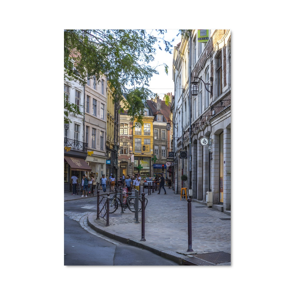 Poster Flânerie à Lille