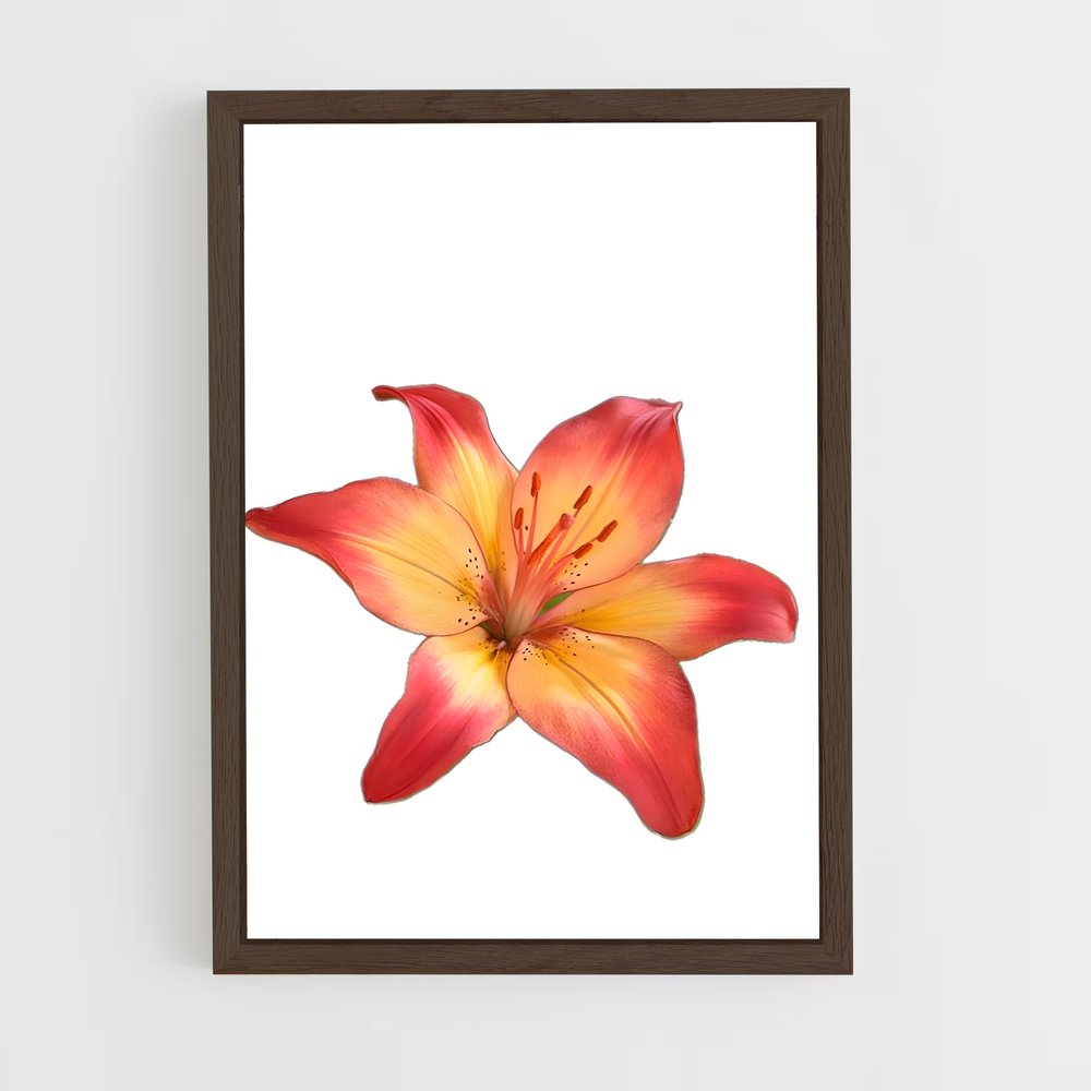 ap-lily-4 cadre Bois foncé