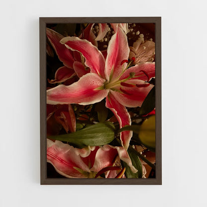 ap-lily-6 cadre Bois foncé