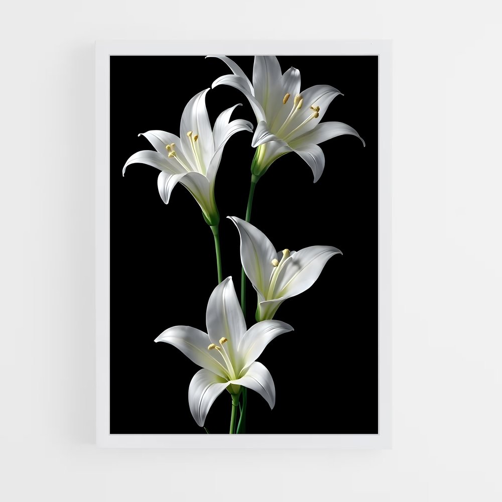 ap-lily-8 cadre Blanc