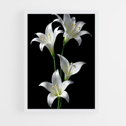 ap-lily-8 cadre Blanc