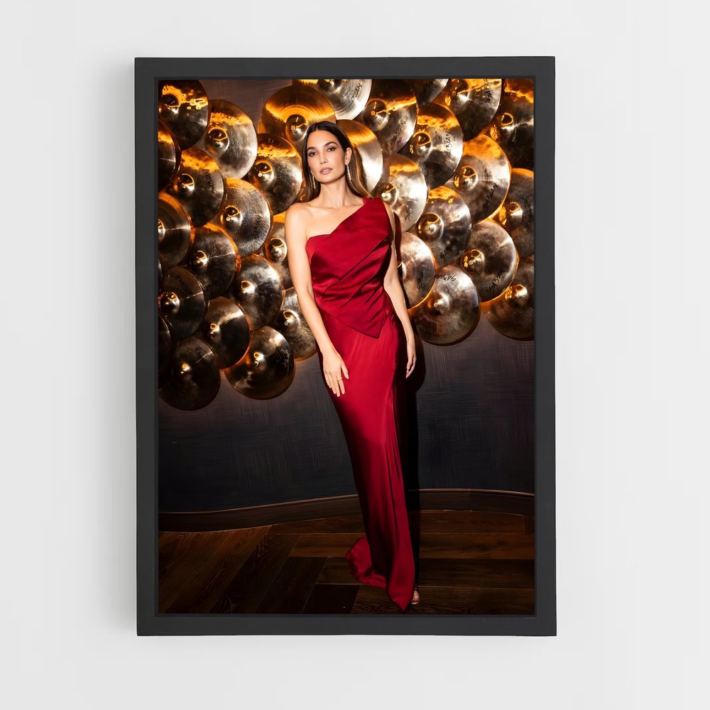 ap-lily aldridge-4 cadre Noir