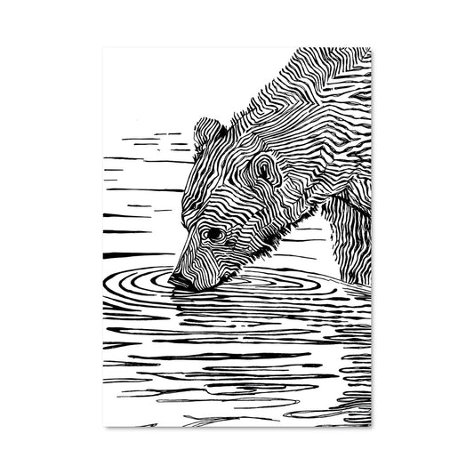 Poster Zèbre Aquatique