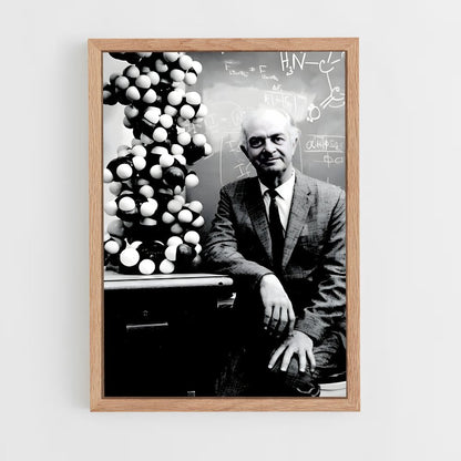 ap-linus pauling-3 cadre Bois clair