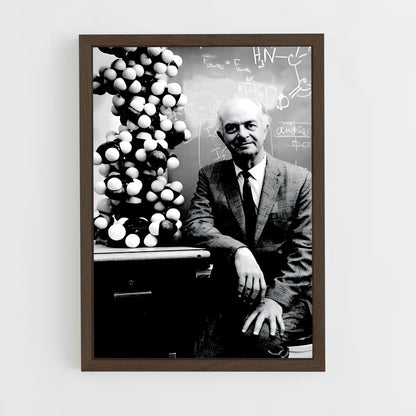 ap-linus pauling-3 cadre Bois foncé