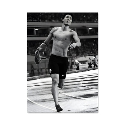 Poster Liu xiang 64345