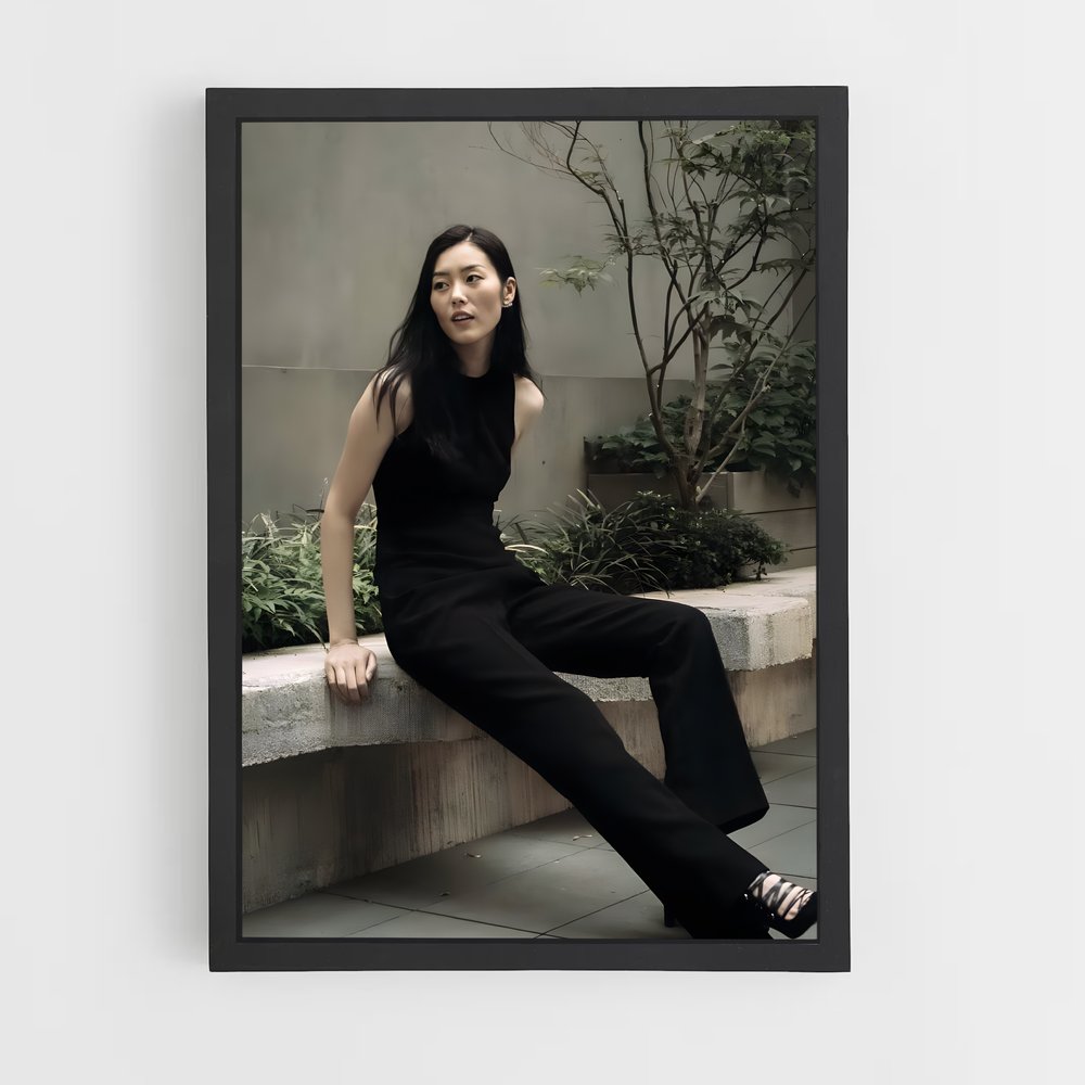 ap-liu wen-1 cadre Noir