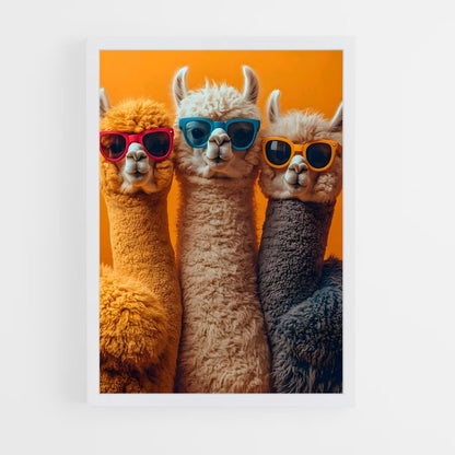 ap-llama-6 cadre Blanc