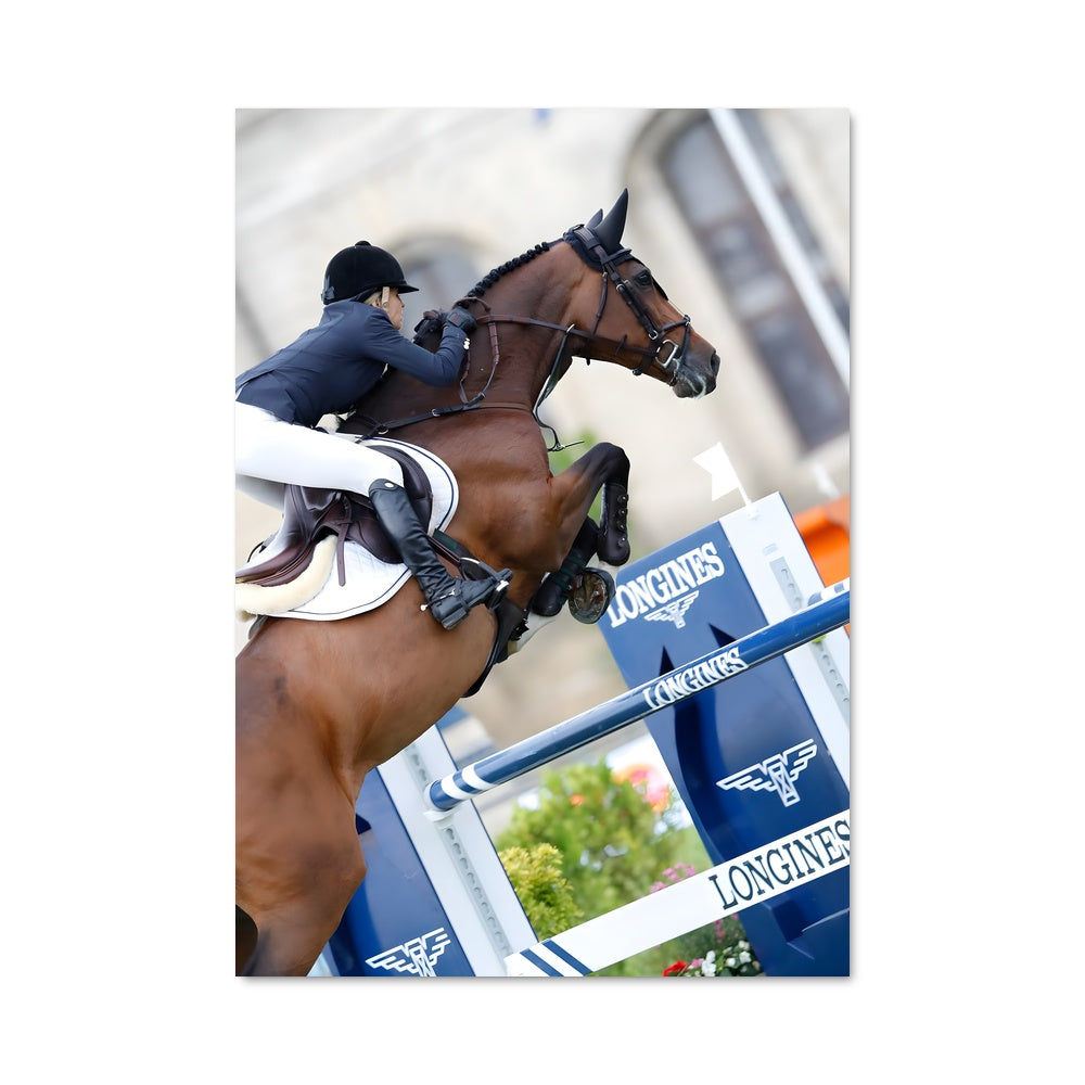 Poster Saut de Talent