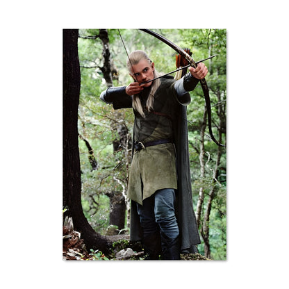 Poster La Chasseresse de l'Anneau
