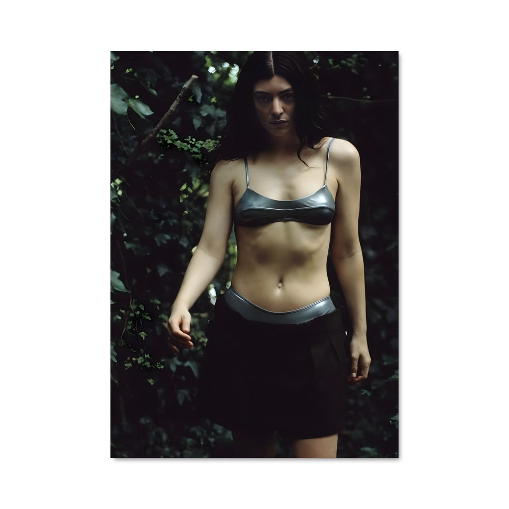 Poster Lorde 51845