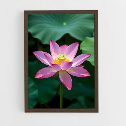 ap-lotus flower-5 cadre Bois foncé