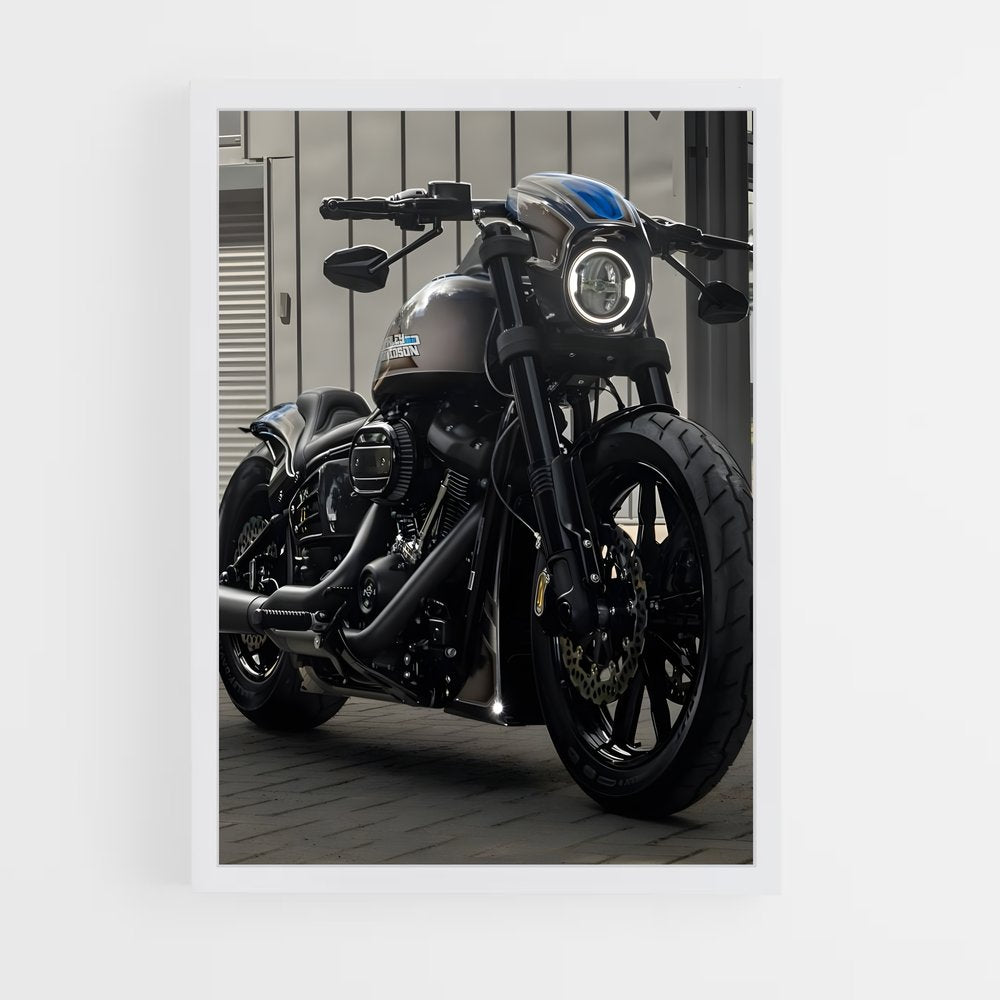 ap-low rider s-1 cadre Blanc