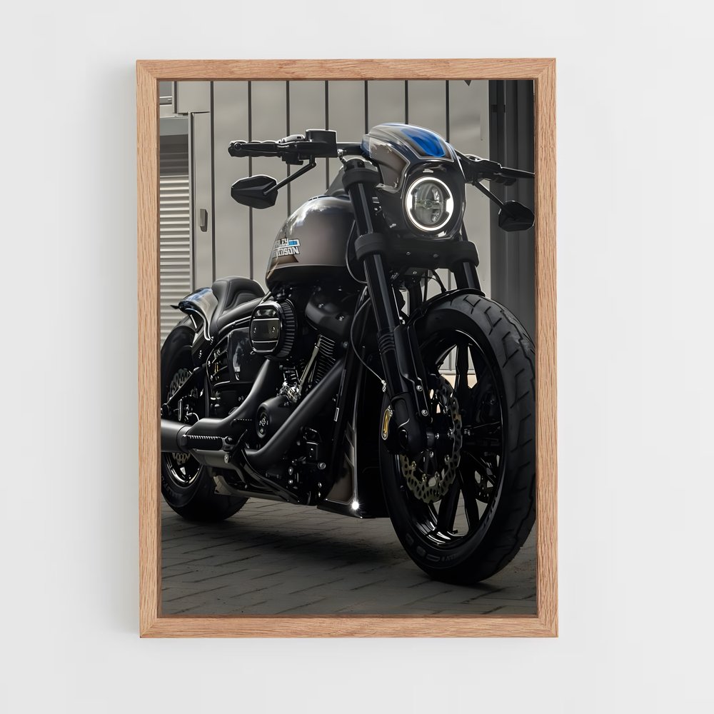 ap-low rider s-1 cadre Bois clair