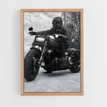 ap-low rider s-3 cadre Bois clair