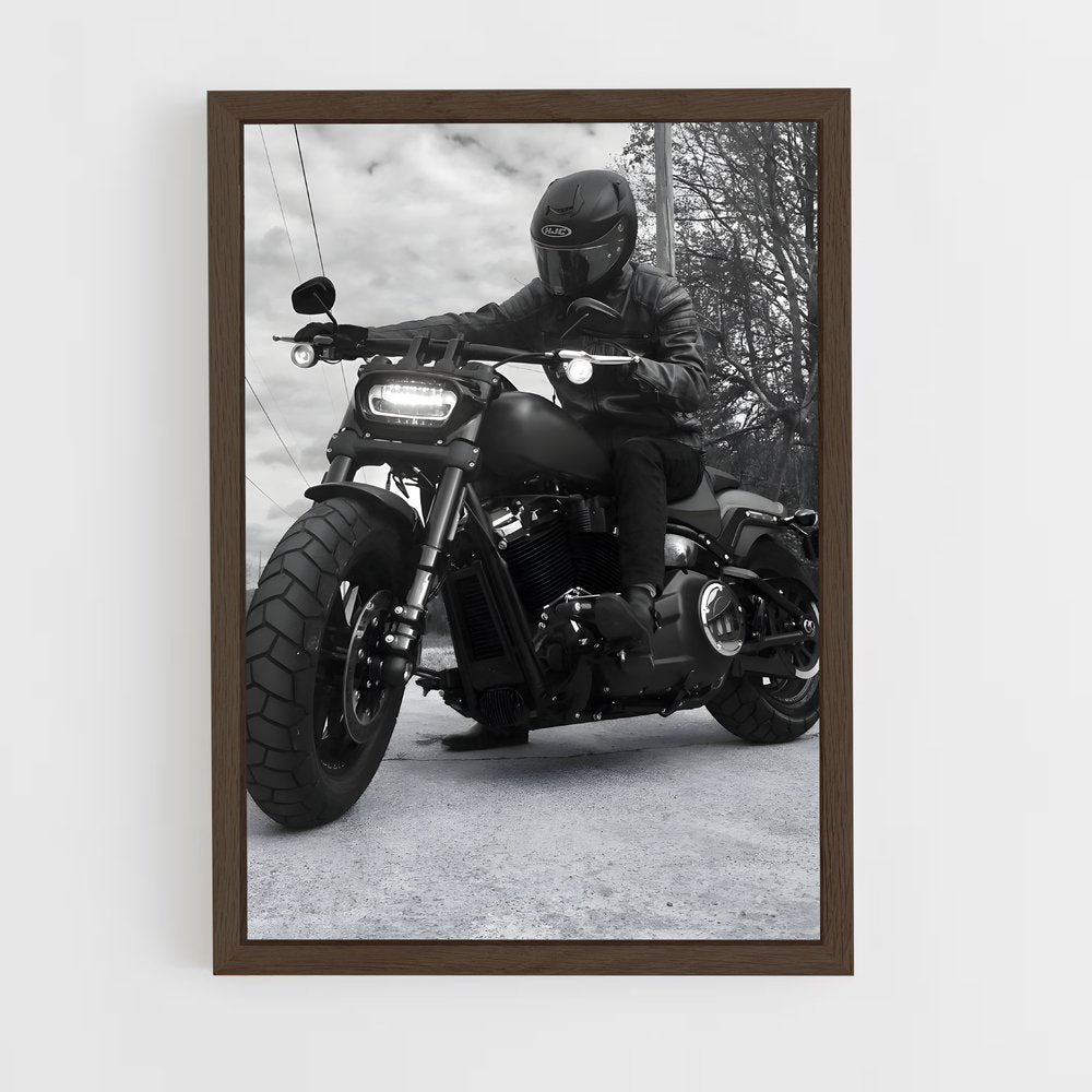 ap-low rider s-3 cadre Bois foncé