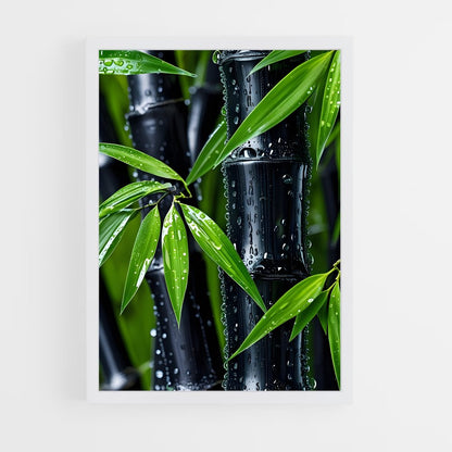 ap-lucky bamboo-1 cadre Blanc