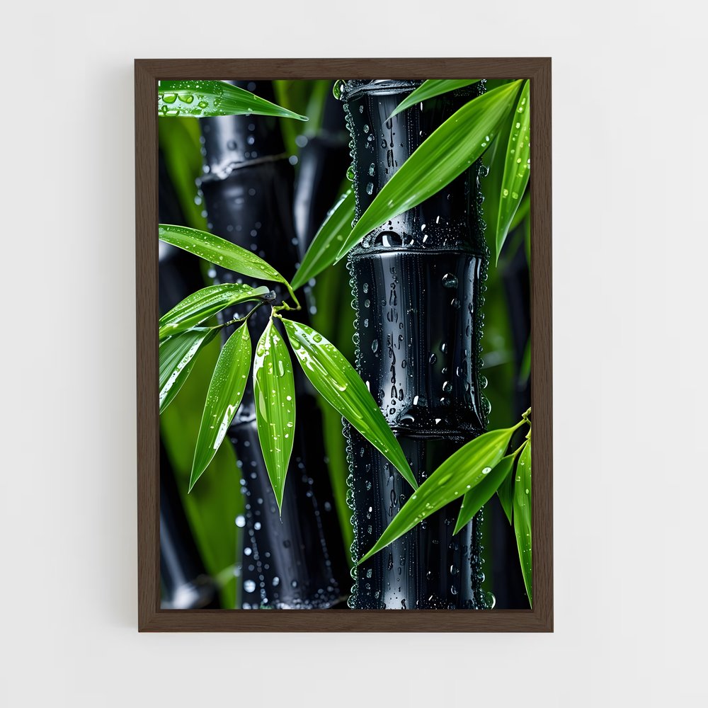 ap-lucky bamboo-1 cadre Bois foncé