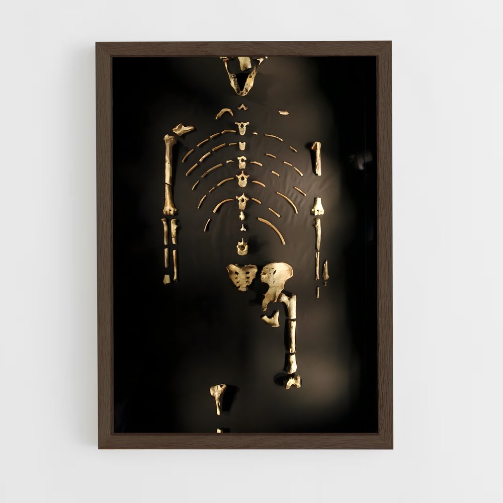 ap-lucy fossil-1 cadre Bois foncé