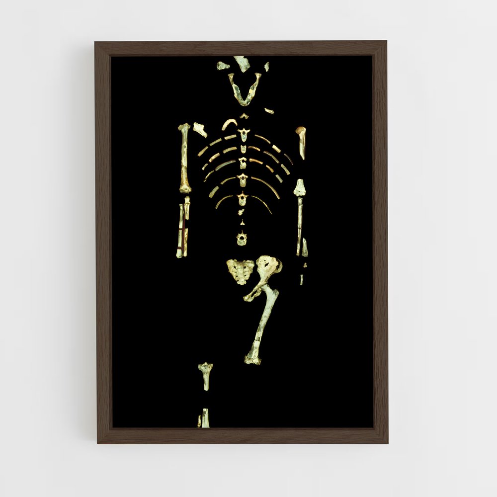 ap-lucy fossil-3 cadre Bois foncé
