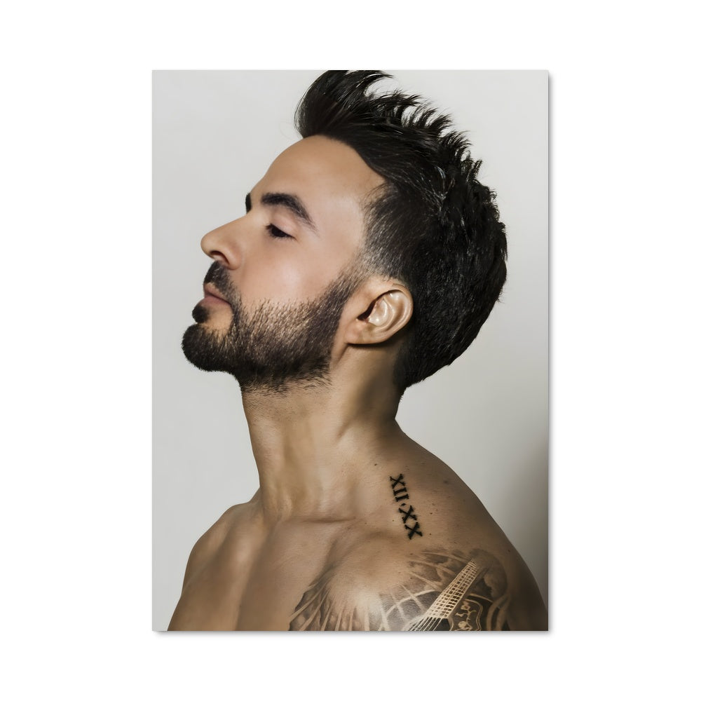 Poster Luis fonsi 51873