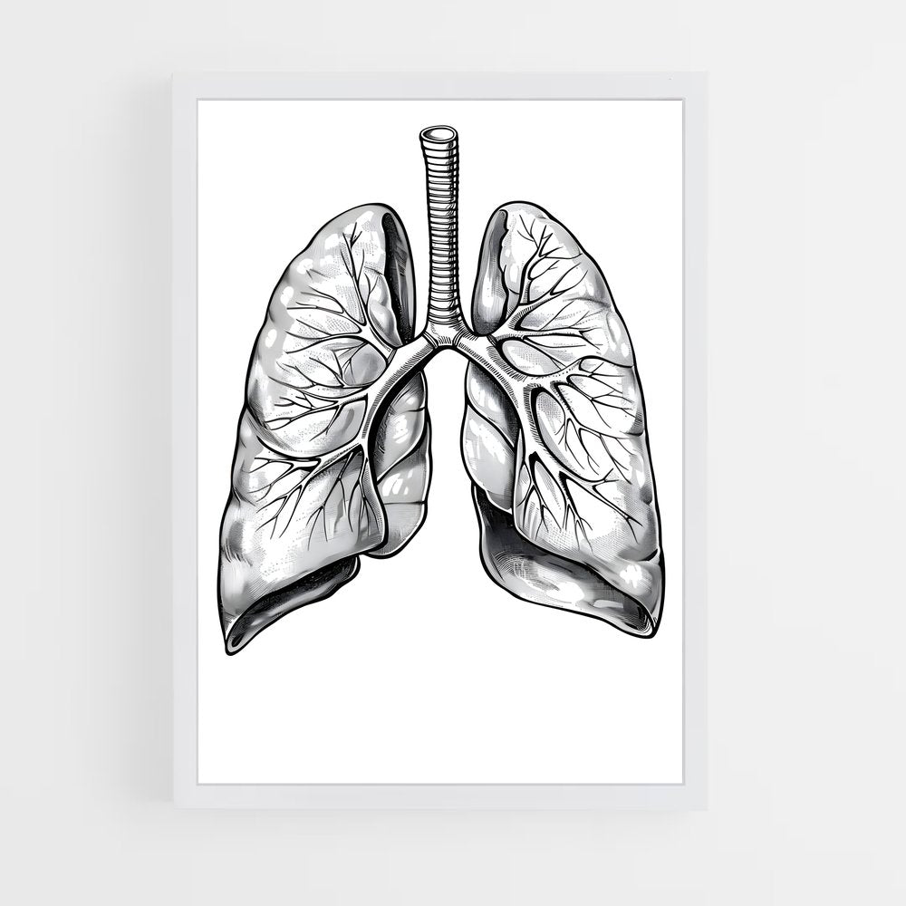 ap-lung-1 cadre Blanc
