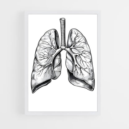 ap-lung-1 cadre Blanc