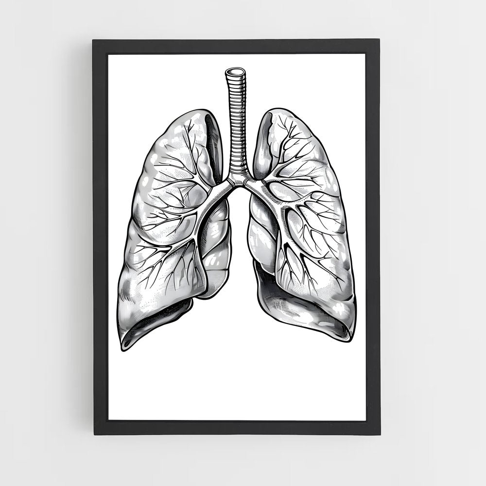 ap-lung-1 cadre Noir