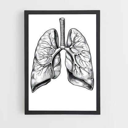 ap-lung-1 cadre Noir