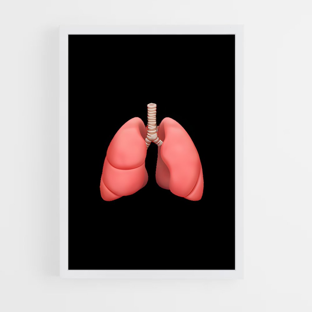 ap-lung-3 cadre Blanc