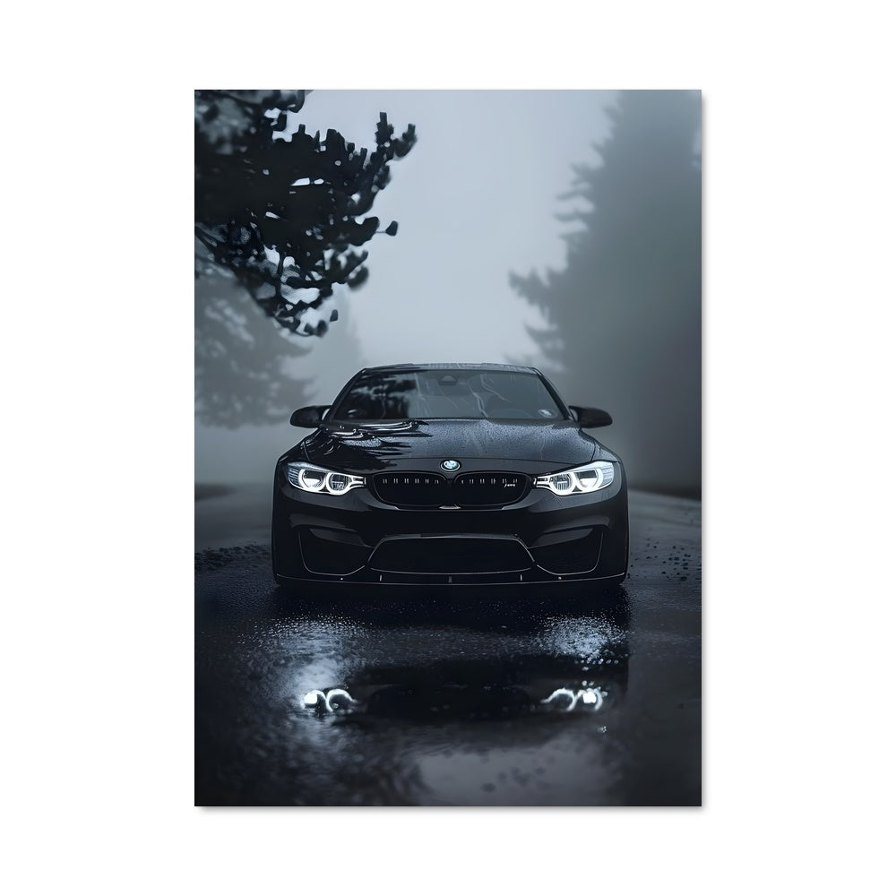 Poster M3 f80 76395