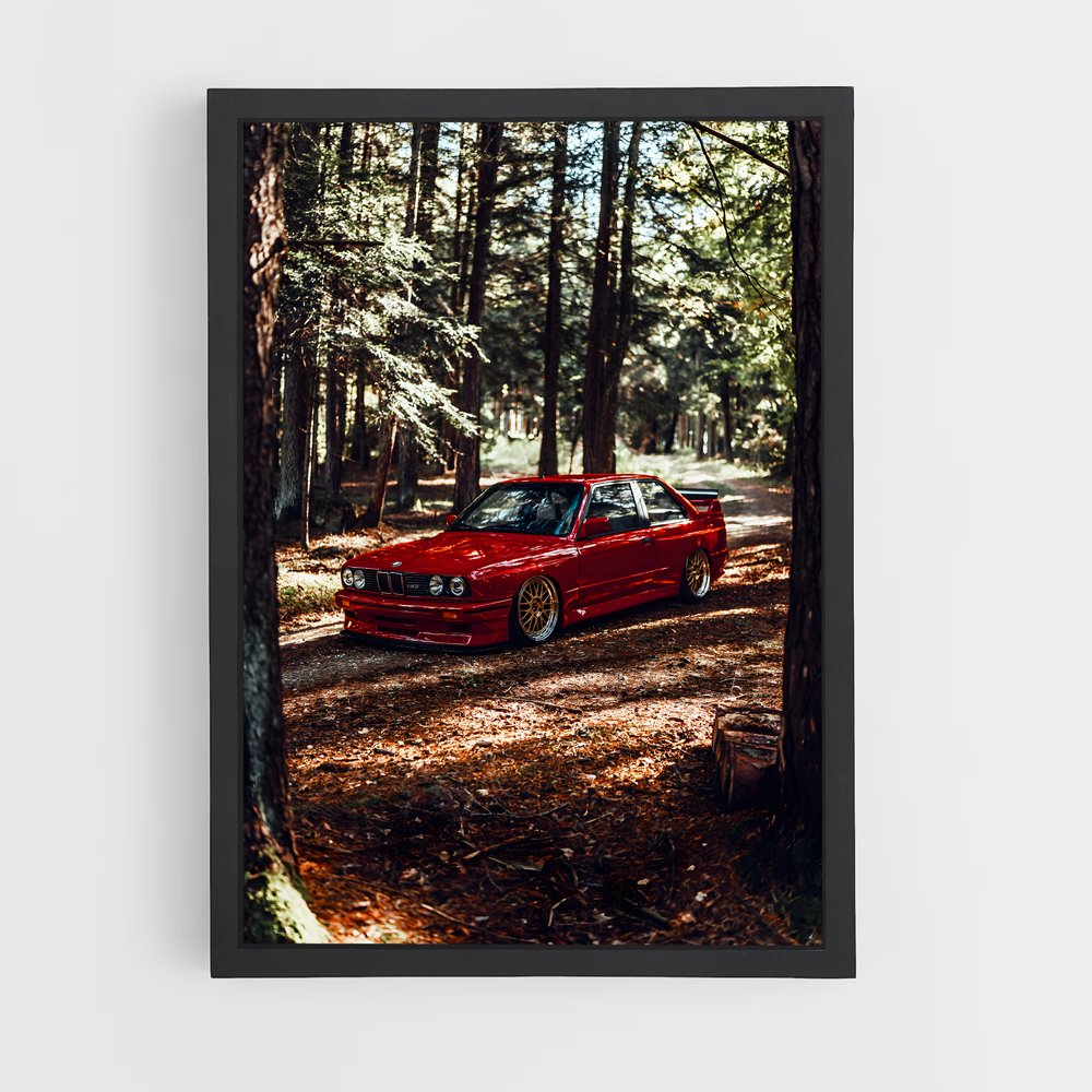 ap-m3 e30-5 cadre Noir