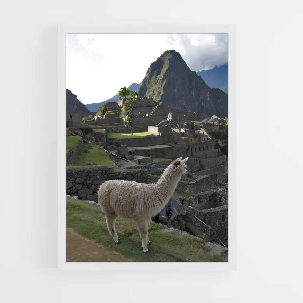 ap-machu picchu-19 cadre Blanc