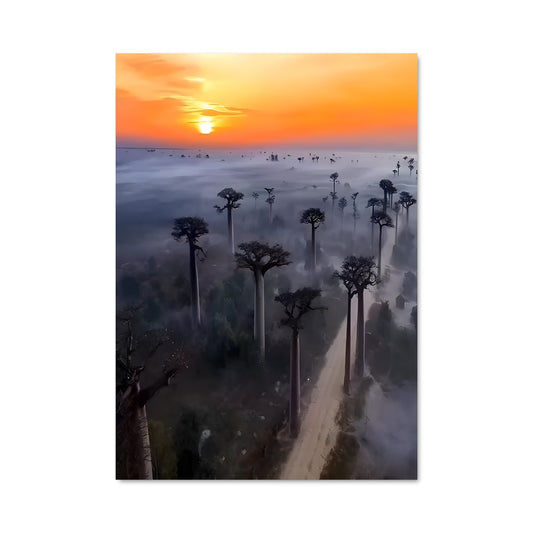 Poster Lever de Soleil à Madagascar