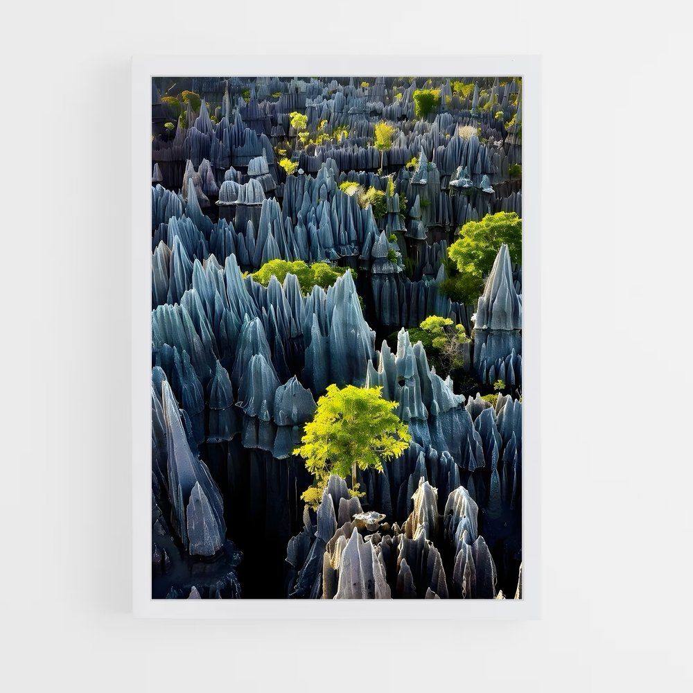 ap-madagascar-6 cadre Blanc