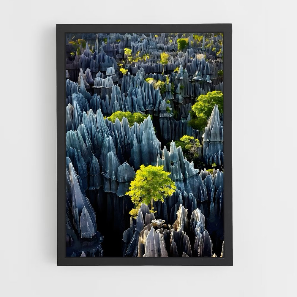 ap-madagascar-6 cadre Noir
