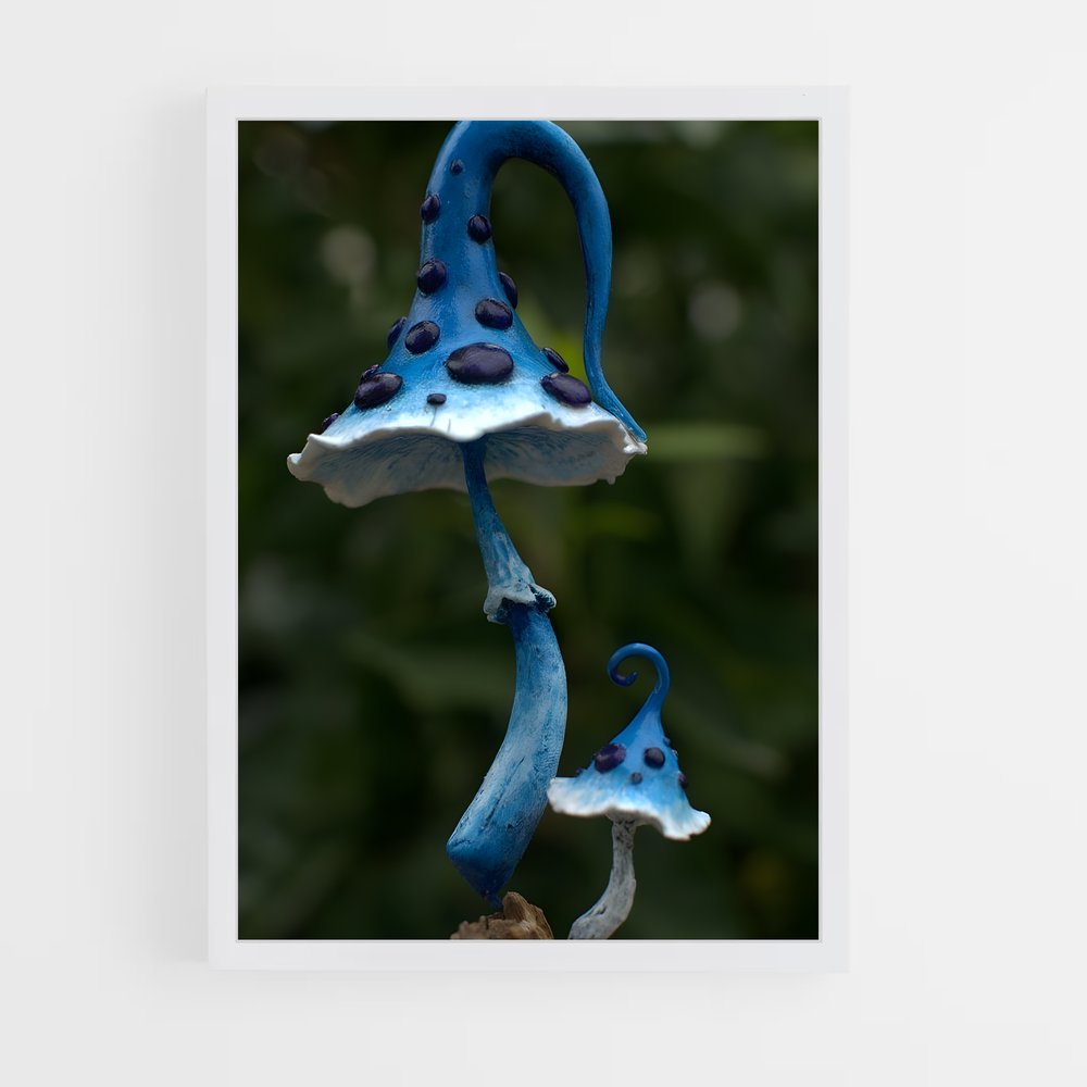 ap-magic mushroom-14 cadre Blanc