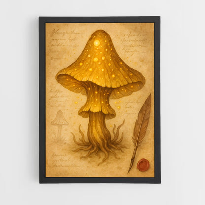 ap-magic mushroom-6 cadre Noir