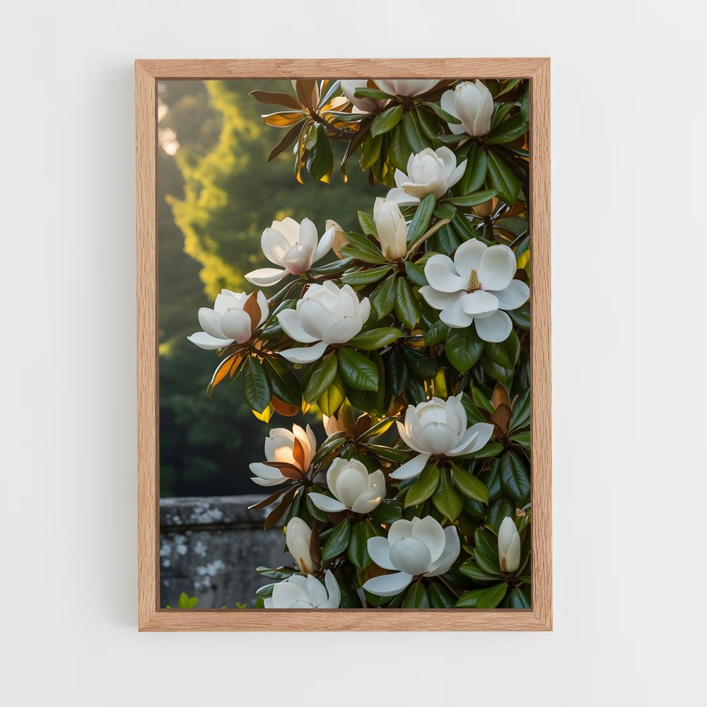 ap-magnolia-1 cadre Bois clair