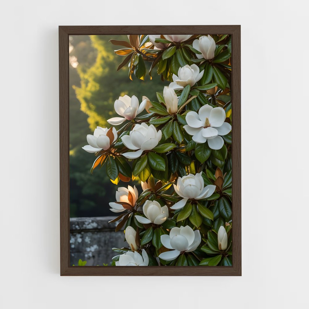 ap-magnolia-1 cadre Bois foncé