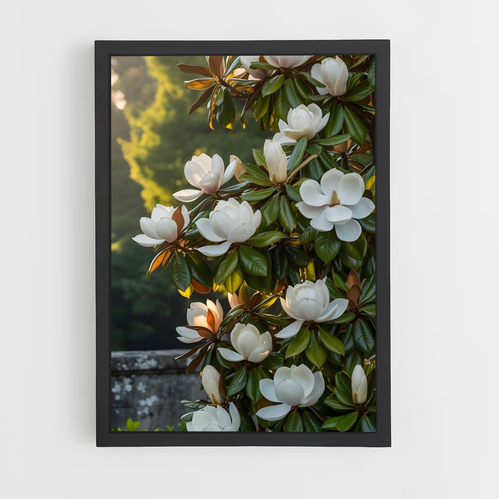 ap-magnolia-1 cadre Noir