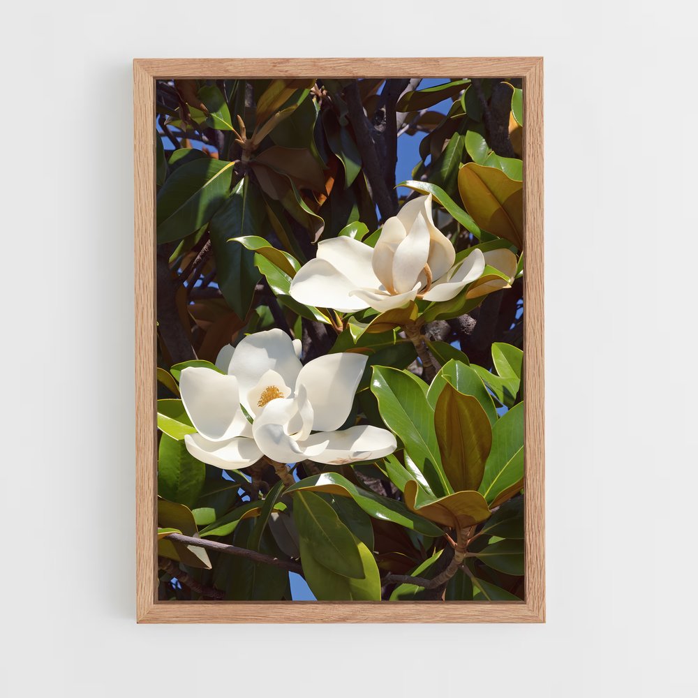 ap-magnolia-2 cadre Bois clair