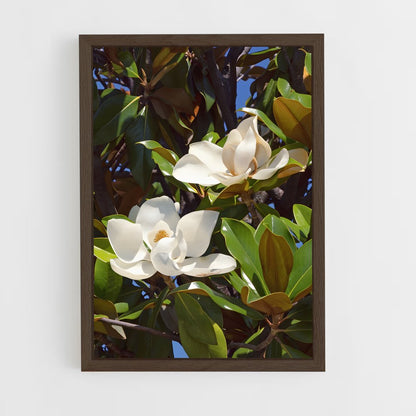ap-magnolia-2 cadre Bois foncé